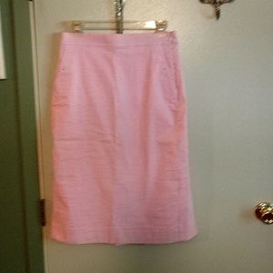 JCrew Pink Pinstripe Skirt BNWT Size 6